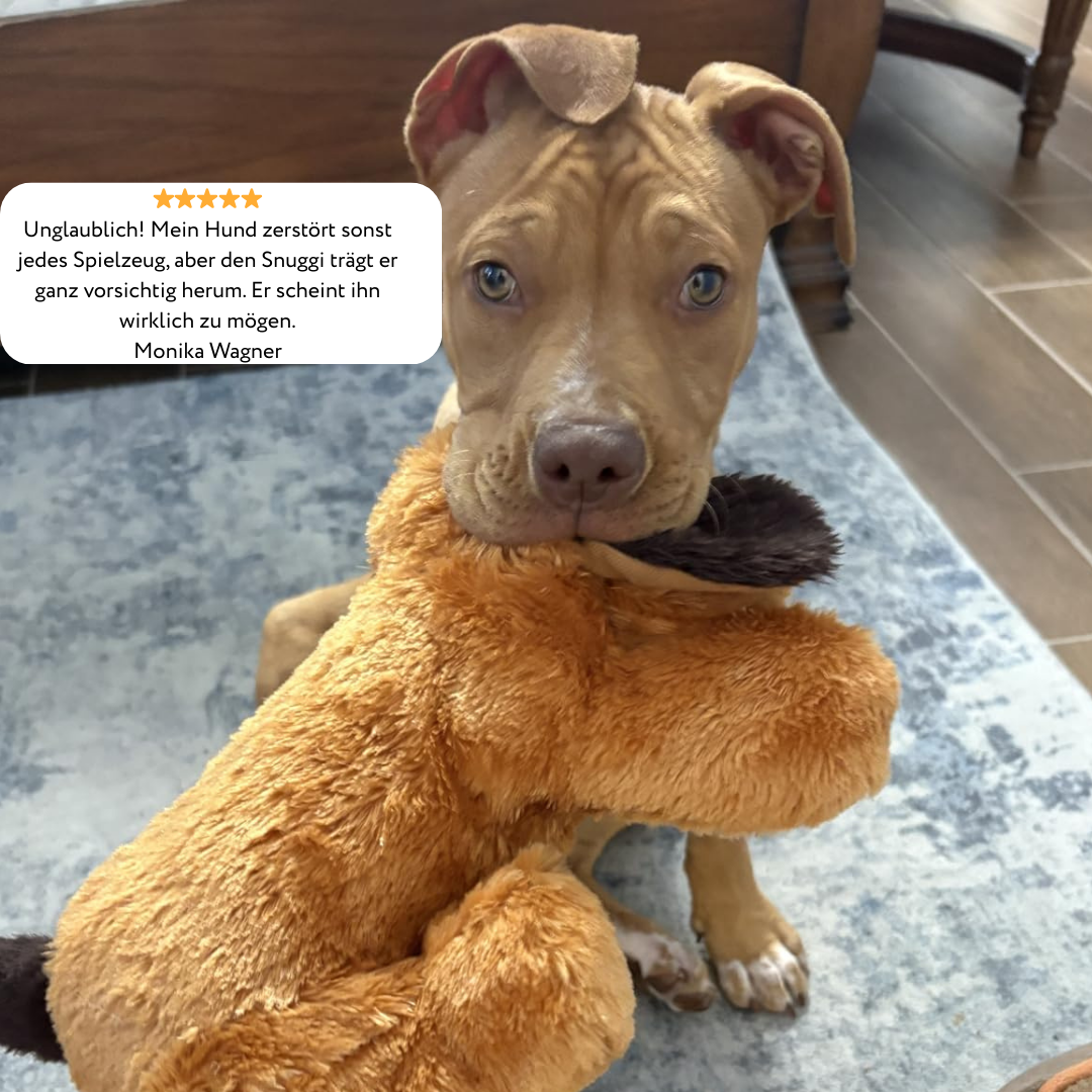 Snuggi KuschelFreund