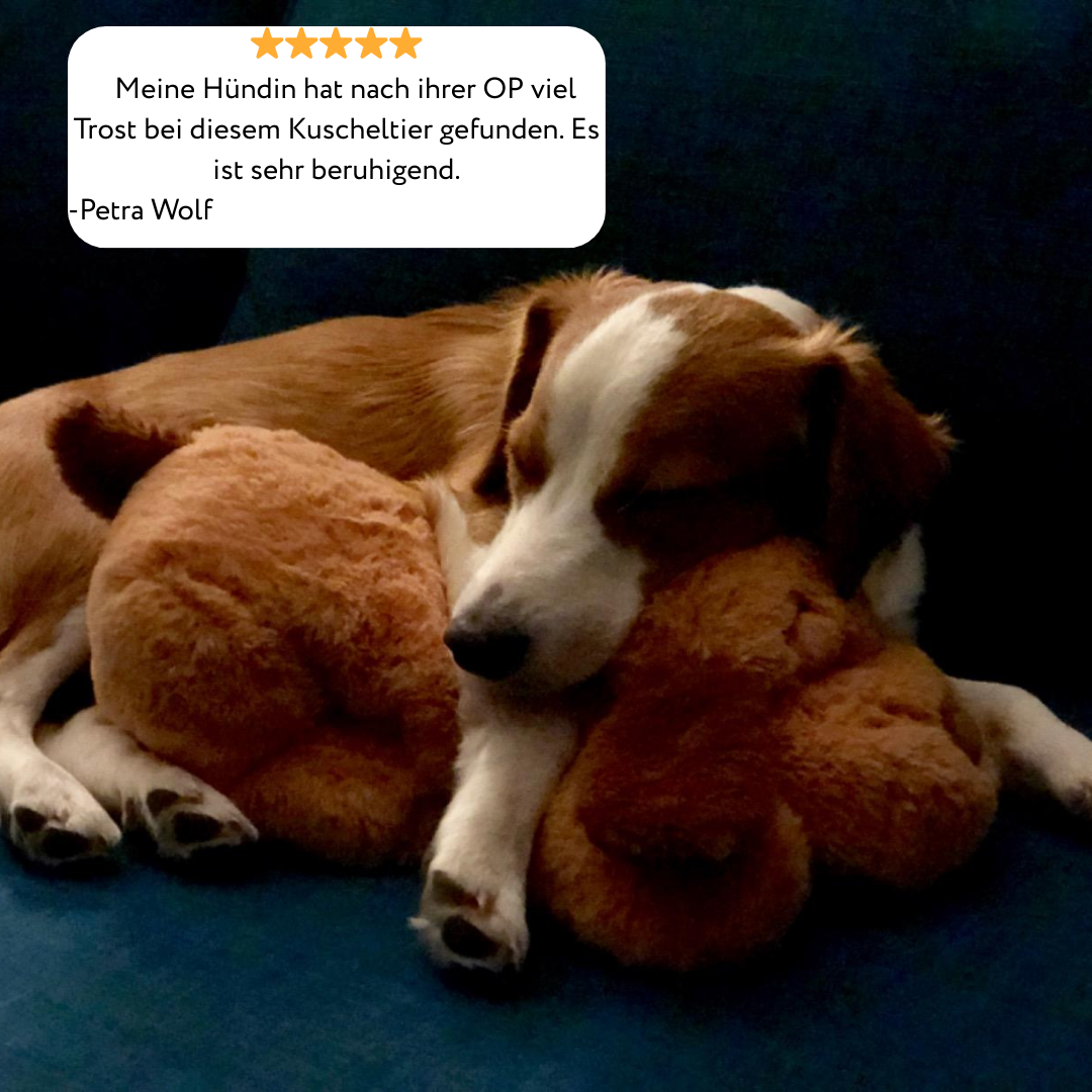 Snuggi KuschelFreund