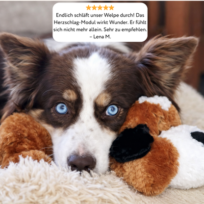 Snuggi KuschelFreund